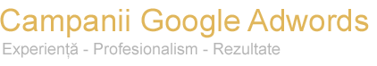 Campanii Google Adwords - Experienta, Profesionalism, Rezultate 